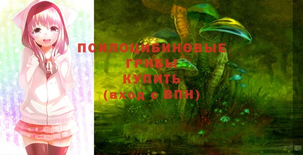молекула духа Армянск