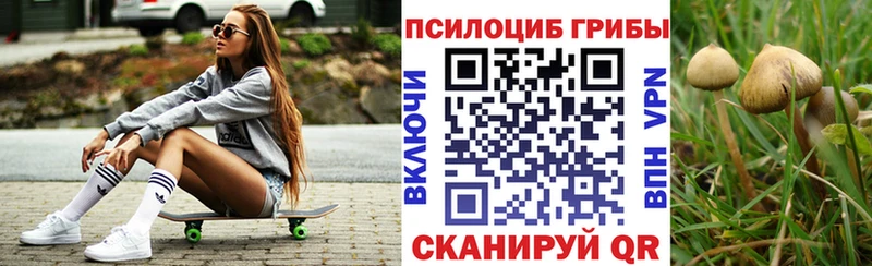 Псилоцибиновые грибы MAGIC MUSHROOMS  дарнет шоп  Сыктывкар 