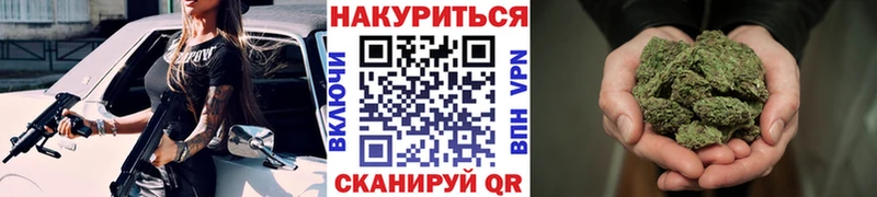 хочу   Сыктывкар  Бошки Шишки ГИДРОПОН 